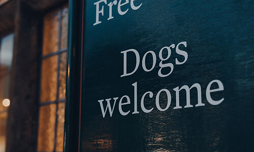 Dog friendly restaurants in Edinburgh